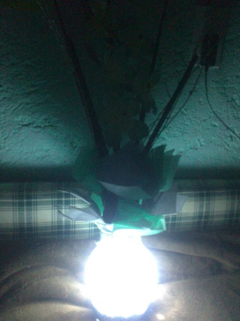 Centro de mesa para jardín - 11