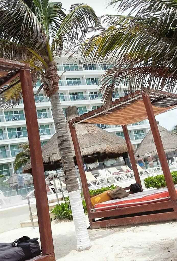 Felizmente casados y luna de miel   🌙🍯 - 2