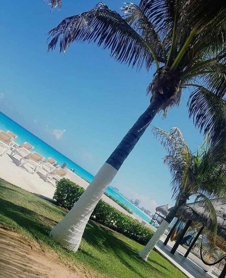 Felizmente casados y luna de miel   🌙🍯 - 3