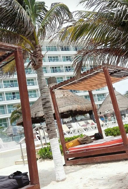 Felizmente casados y luna de miel   🌙🍯 - 2