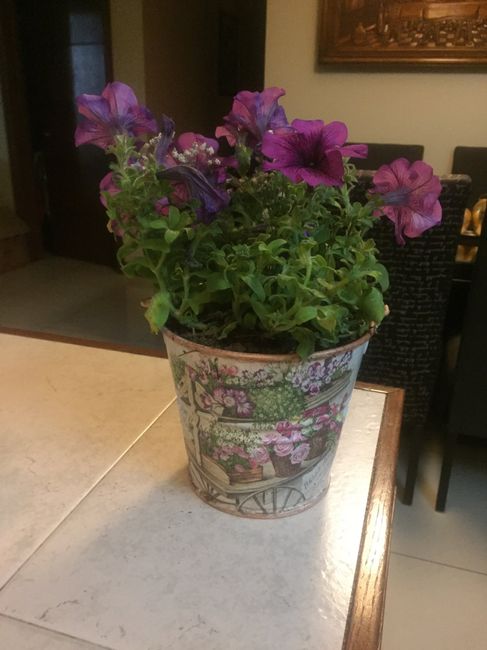 Despedida de Soltera - 2