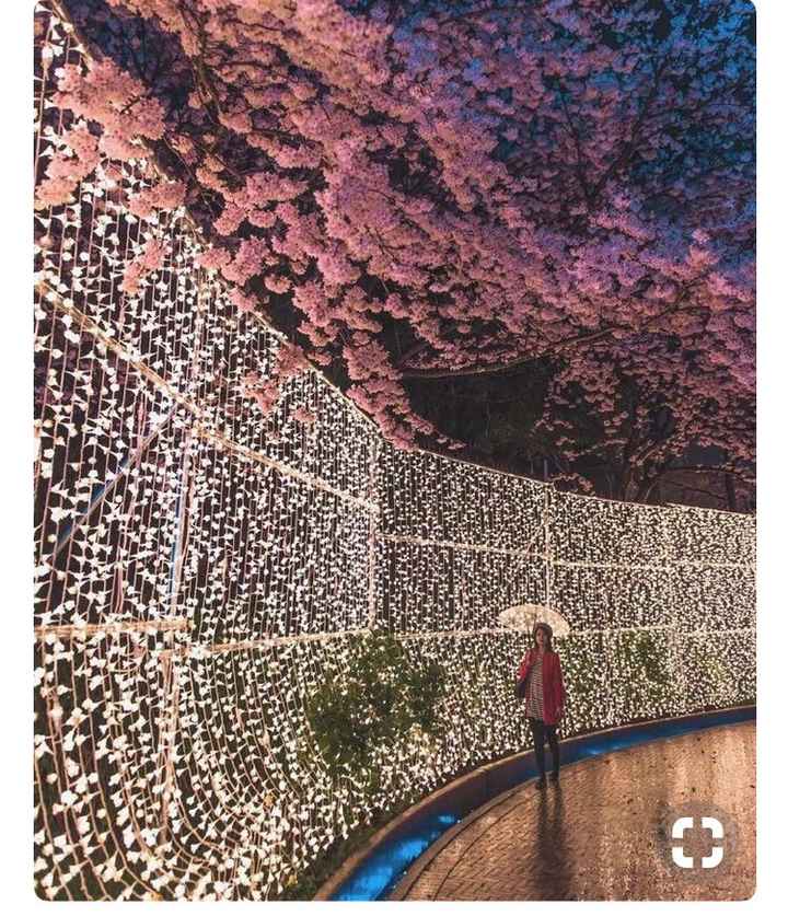 Decoración...!!! - 1