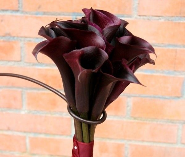 Ideas en flores color vino o parecido, su nombre es Cala Negra pero el color en si es Vino