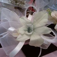 orquideas