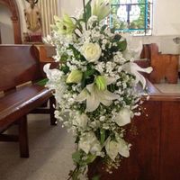 Mi florista no me convense - 2