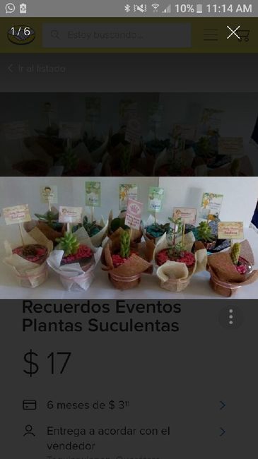 ¿alguien sabe donde se pueden comprar Suculentas en Edomex? 1