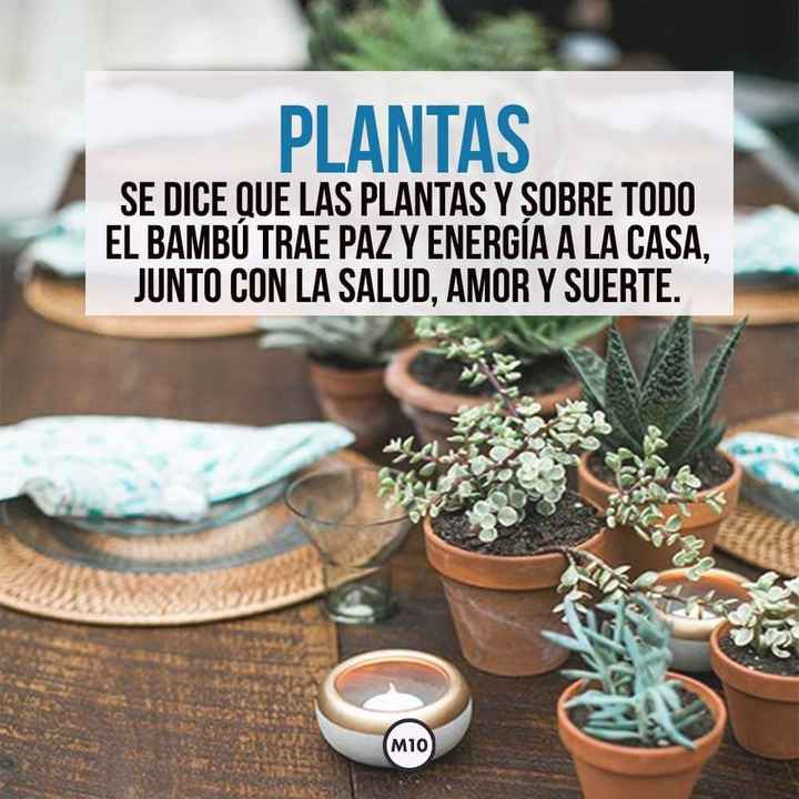  Amuletos de la suerte para el día b - 4