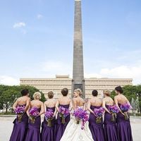 ¿de qué color serán tus damas? - 1