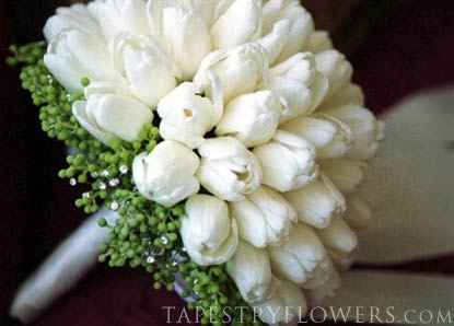 Mis avances ... y los de ustedes?? - 29