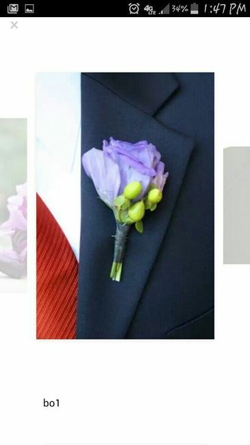 Lila y verde???? - 4