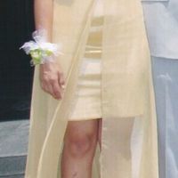 Modelo de vestido