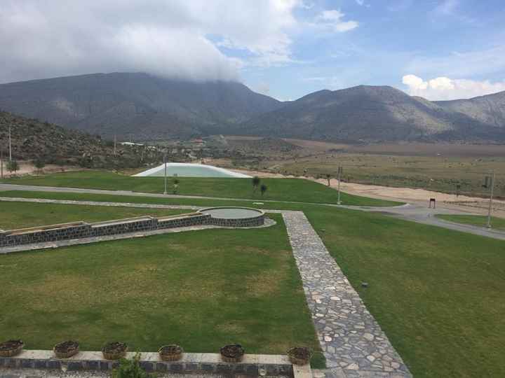 vista desde terraza de vinos don leo