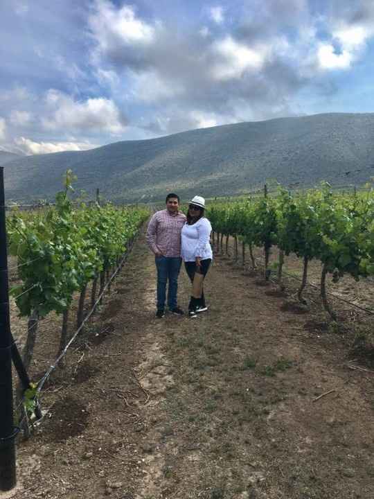 en el viñedo de don leo