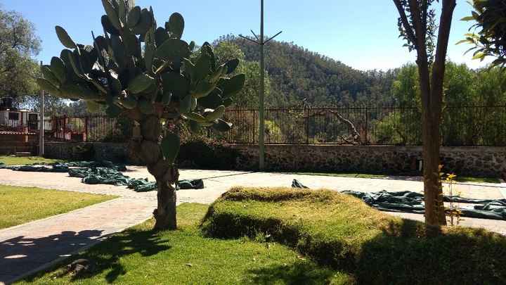 Desde la zona para ceremonia religiosa