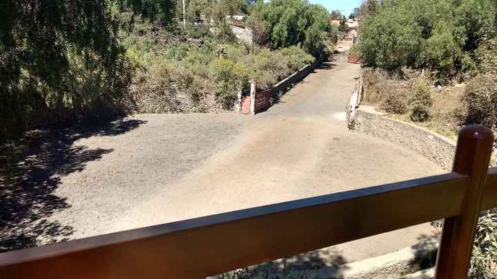desde el jardín se ve una zona donde entrenan a caballos :D