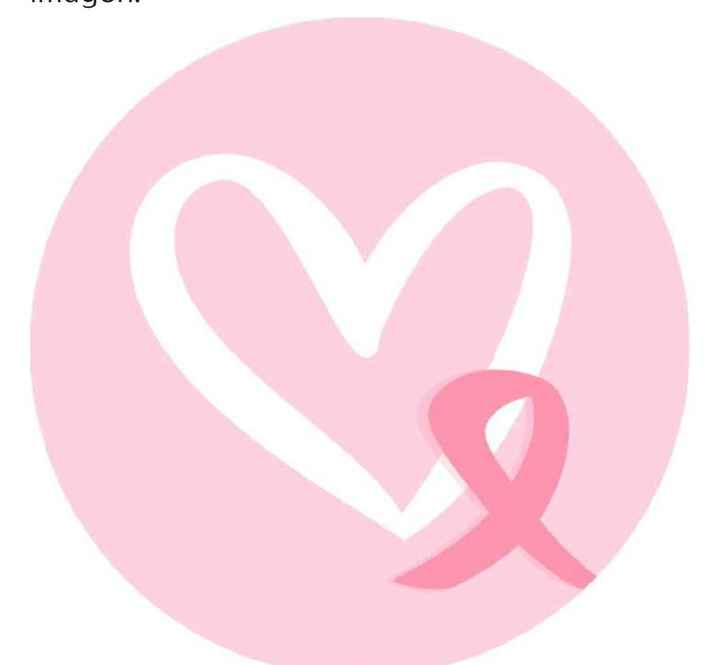 Ramo rosa para el mes Rosa 🤭💕✨ - 1