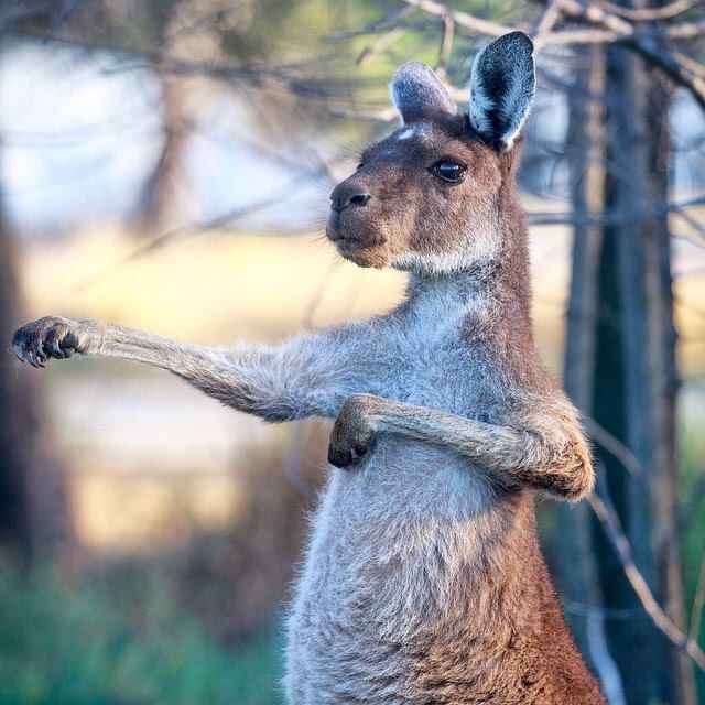 Lo prometido es deuda!! por fin!!!! con ustedes....mi boda religiosa parte 2!! - 1