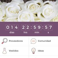 A 14 días!! muero de nerviossss - 1