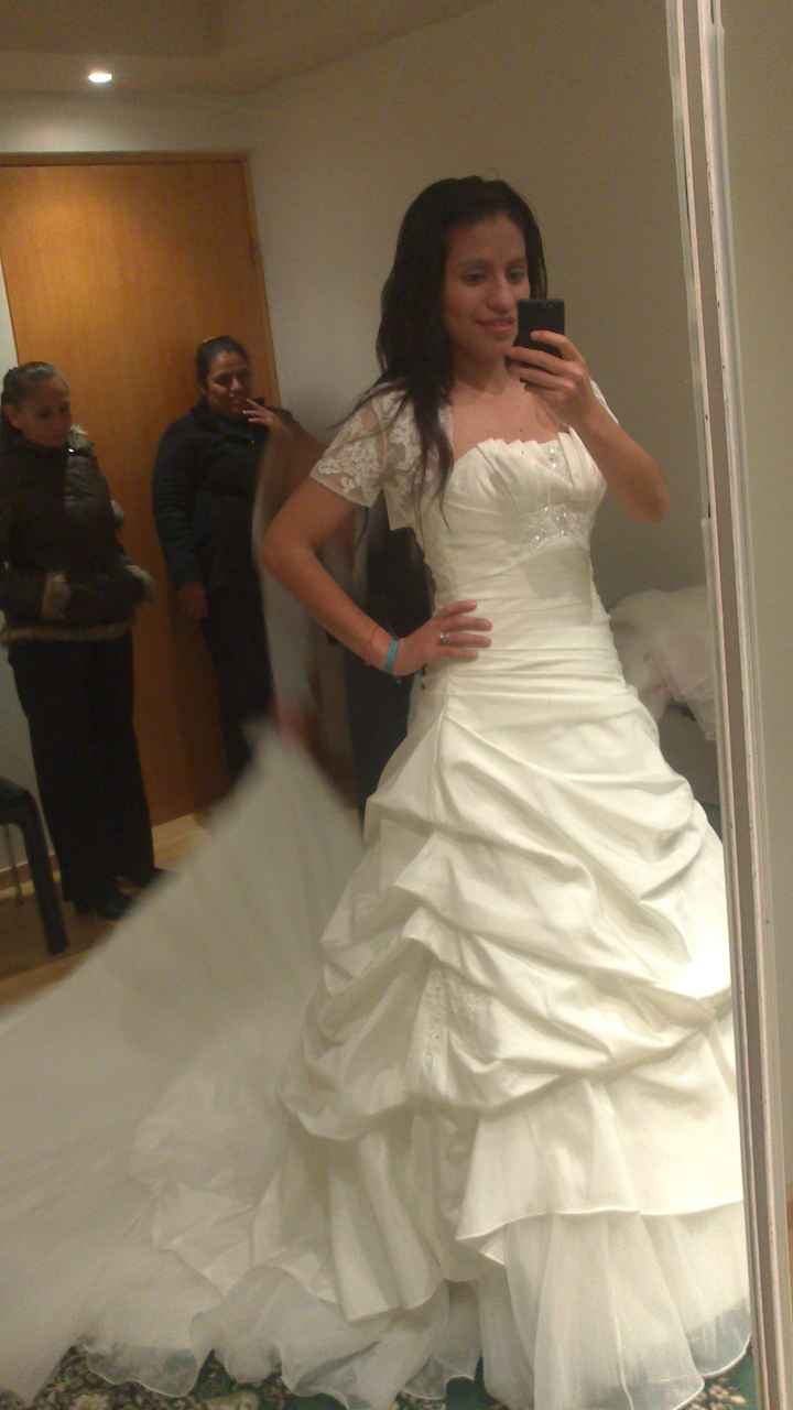 Les presento mi vestido  - 2