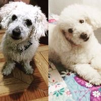 Remy: Antes -Ahora