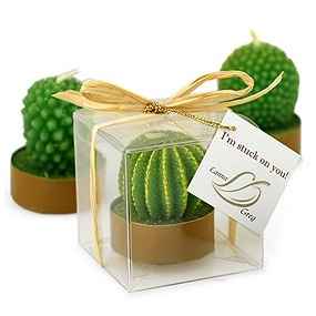 Imágenes para ideas de recuerdos para invitados - 6