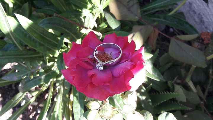 Presuman su anillo jeje - 1