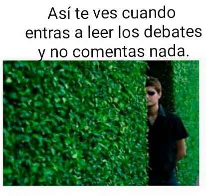 Las que no comentan debates - 1