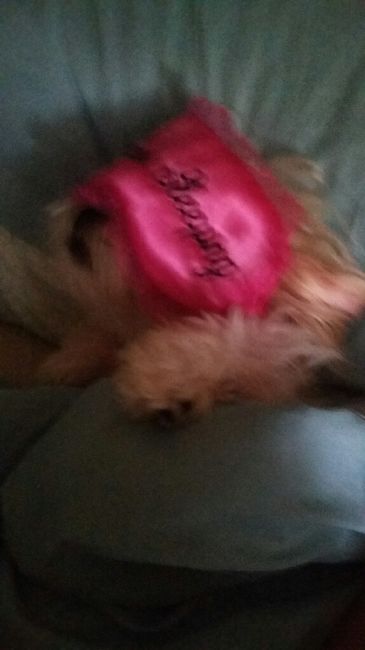 Les presento a.... - 2