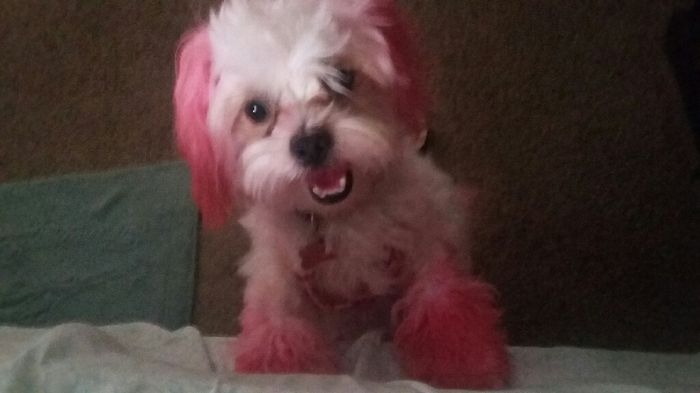 Les presento a.... - 3