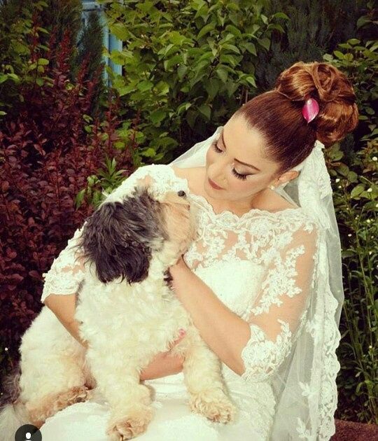 Mascotas y bodas - 3