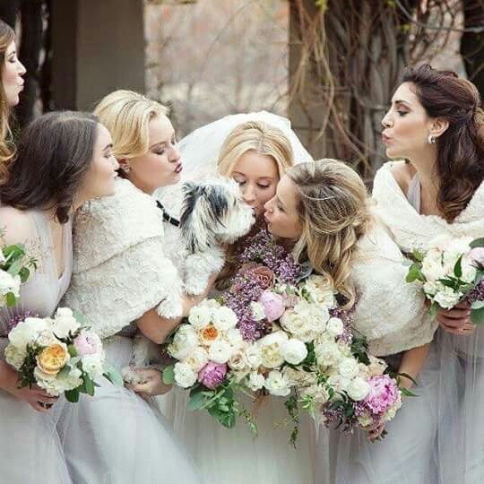 Mascotas y bodas - 5