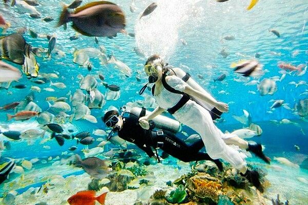 Los lugares más extraños para casarse - 1