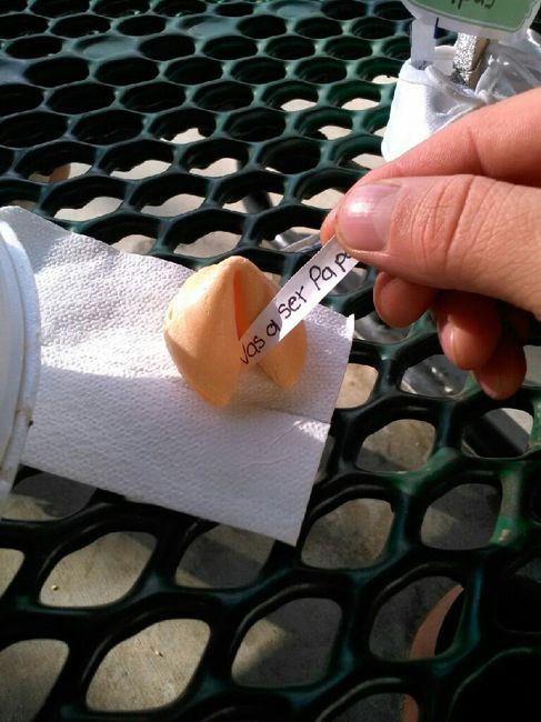 Estoy embarazada!! - 2