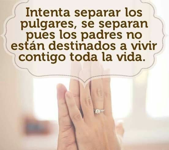 Leyenda del anillo - 5