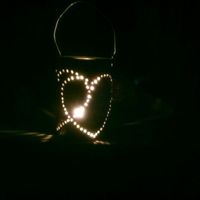  para bodas en jardin - 2