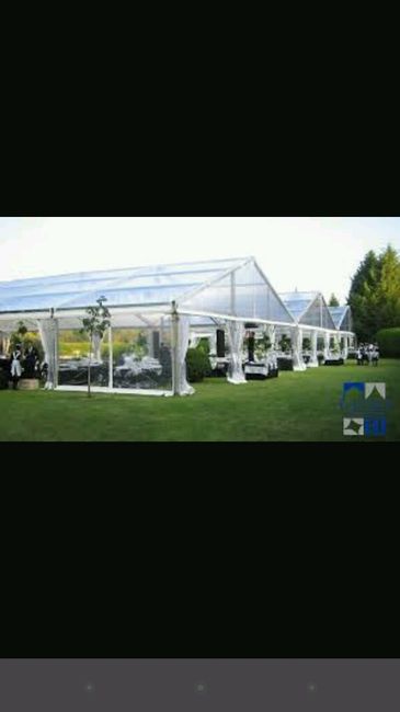 Carpa o sombrillas? - 3