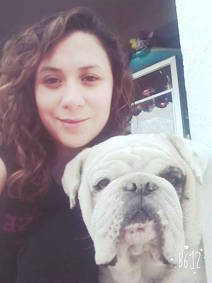 Sesión de fotos con mascotas - 1