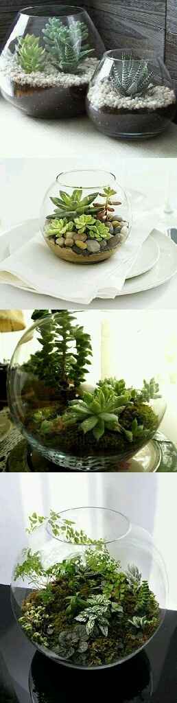 Que opinan de estas macetitas?? - 2