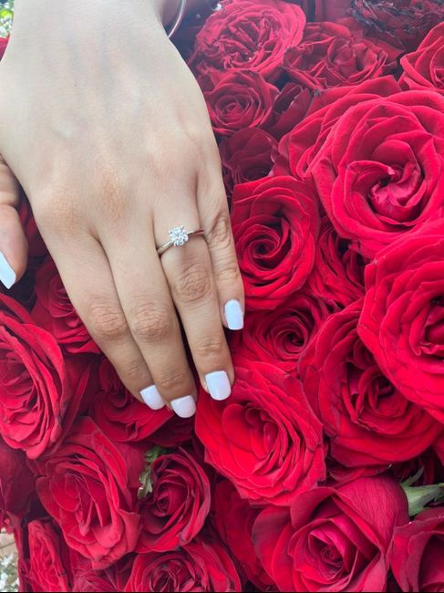 Muestra el anillo - 1