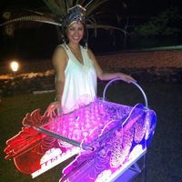 CARRITO DE SHOTS