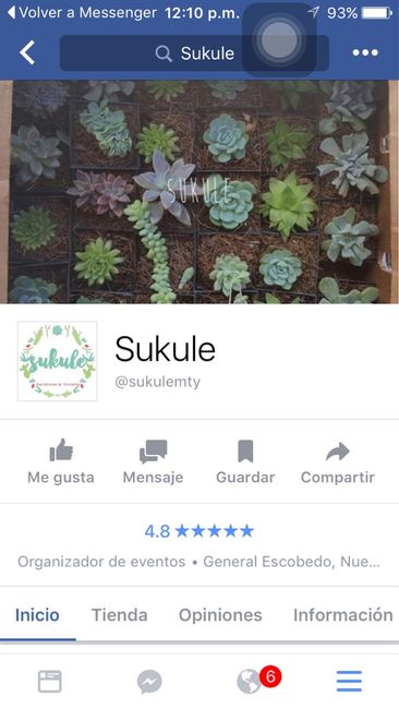 ¿Alguien sabe dónde conseguir estas plantitas? - 1
