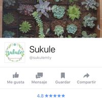 ¿Alguien sabe dónde conseguir estas plantitas? - 1