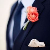 Navi Blue y Coral (Durazno) 