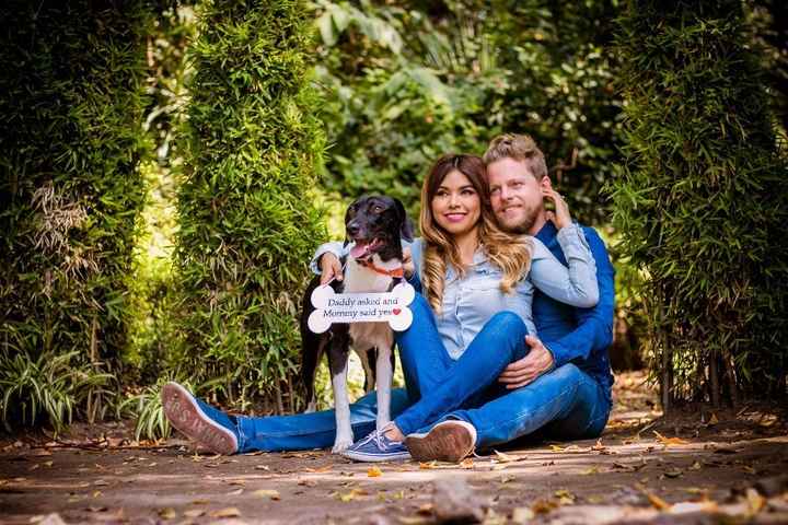 Mi perrita y mi prometido