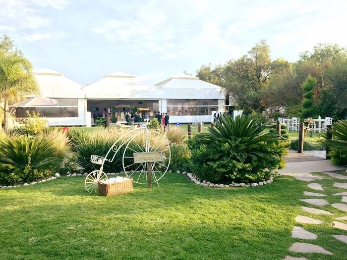 Pulseras antimosquitos