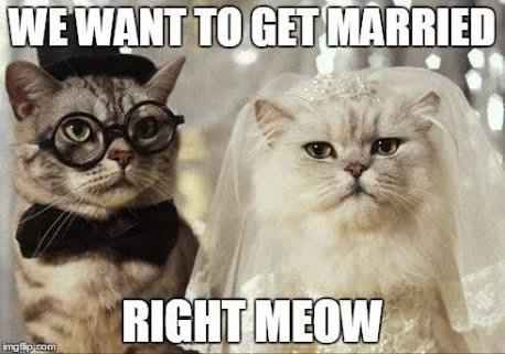 Lo más chusco que pueda pasar... ops - 1