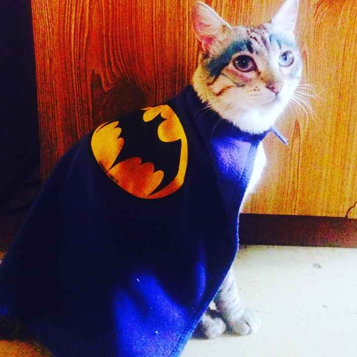 Comparte tu foto - 1