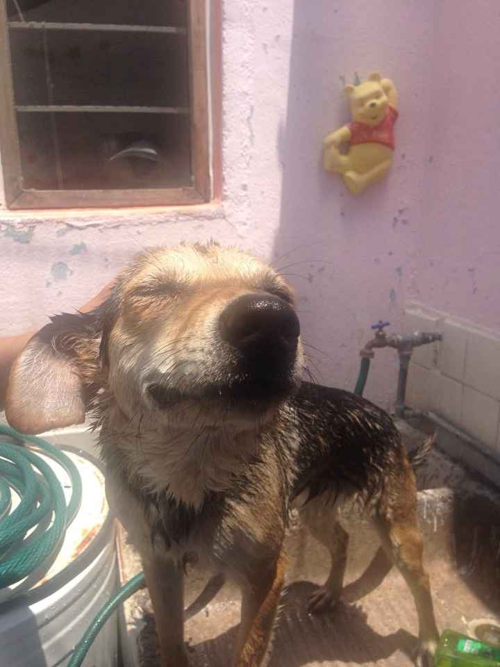 Les presento a.... - 2