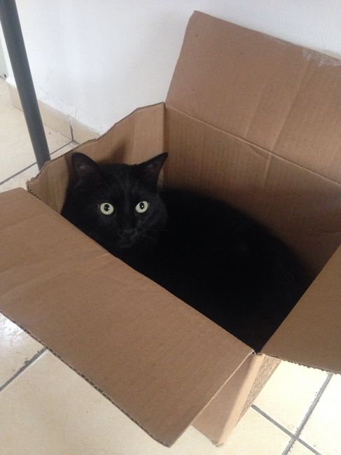 El aseoo del hogaaar!! - 1