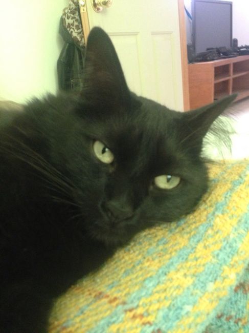 Les presento a.... - 3